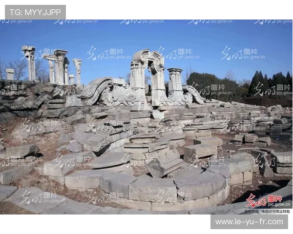 艾尔纳赛尔热度飙升，球队动态再掀关注潮