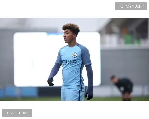 瑞士新星转投德甲 引发球迷关注热潮