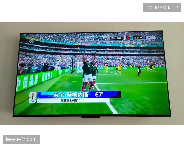 墨西哥2-0南非回顾：世界杯揭幕战拿下开门红